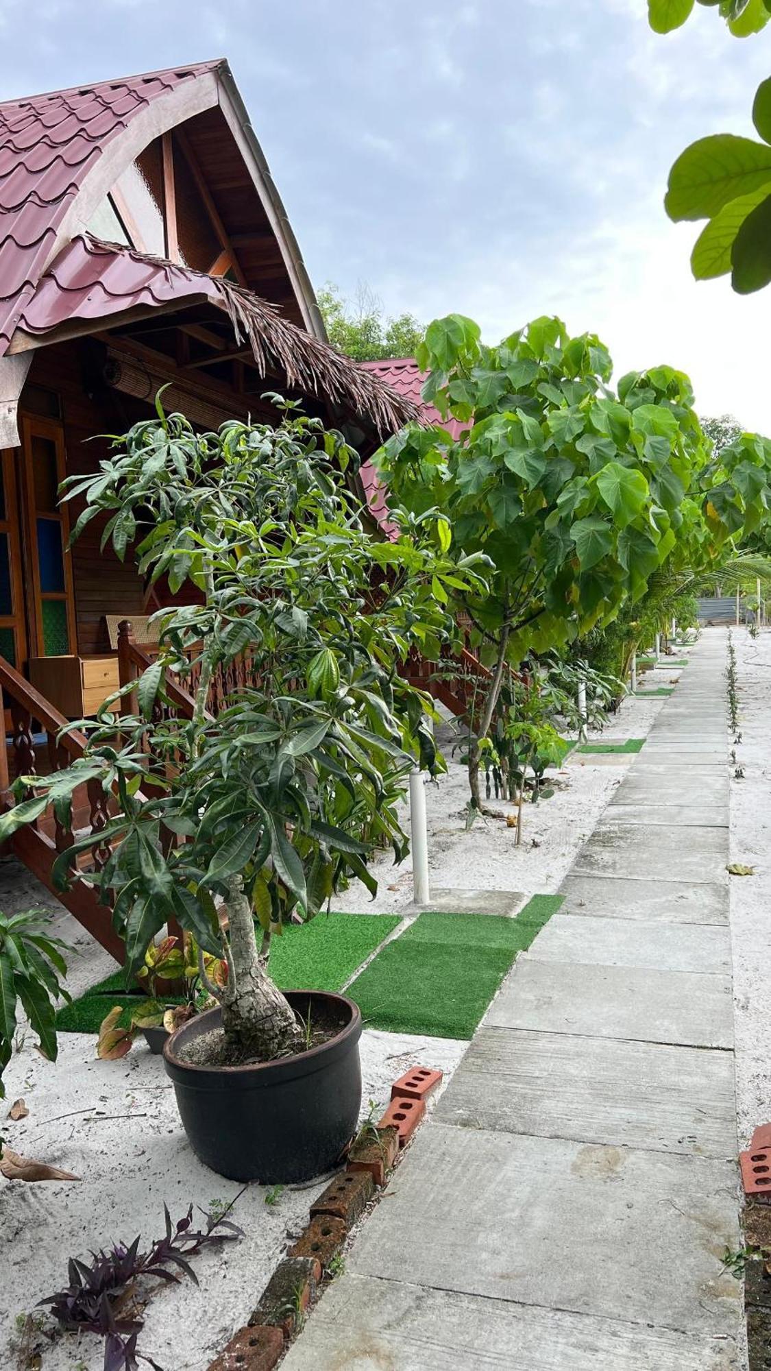 Golden Chenang Village Pantai Cenang  Kültér fotó