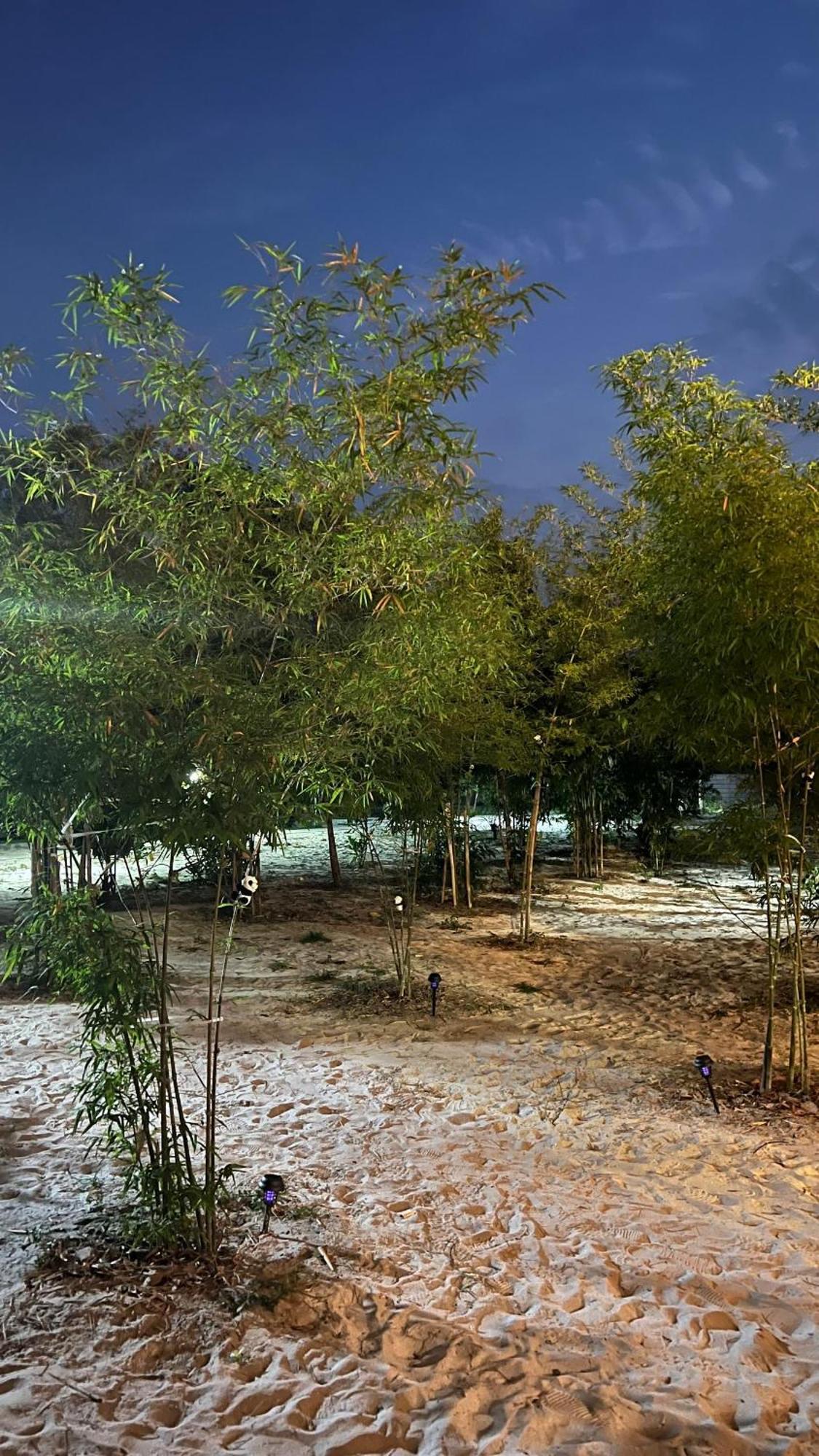 Golden Chenang Village Pantai Cenang  Kültér fotó