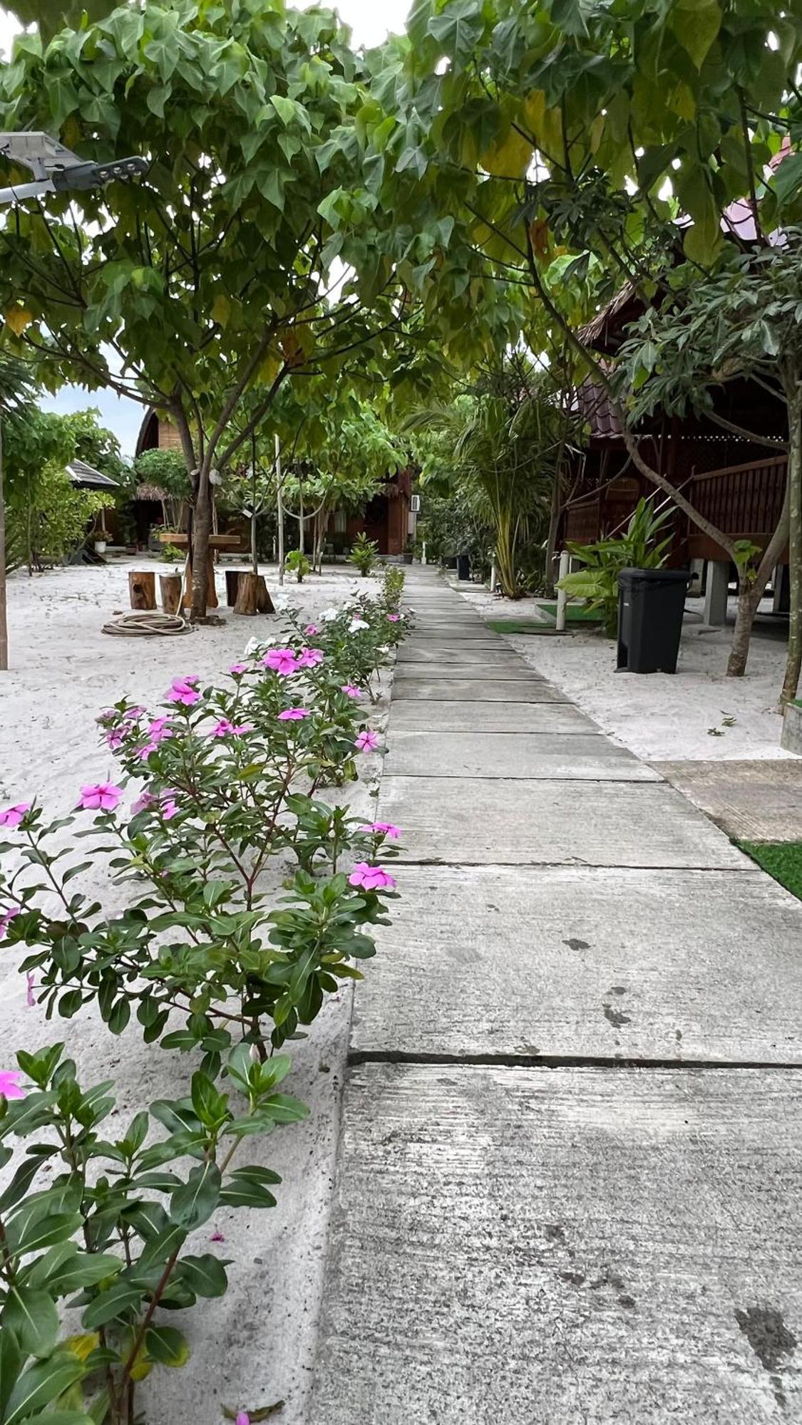 Golden Chenang Village Pantai Cenang  Kültér fotó